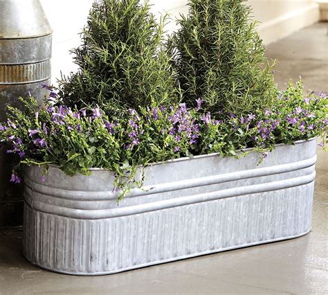 galvanized metal containers for plants